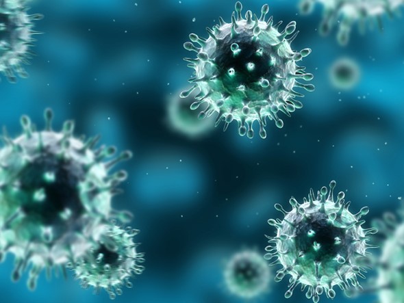 image of flu virus