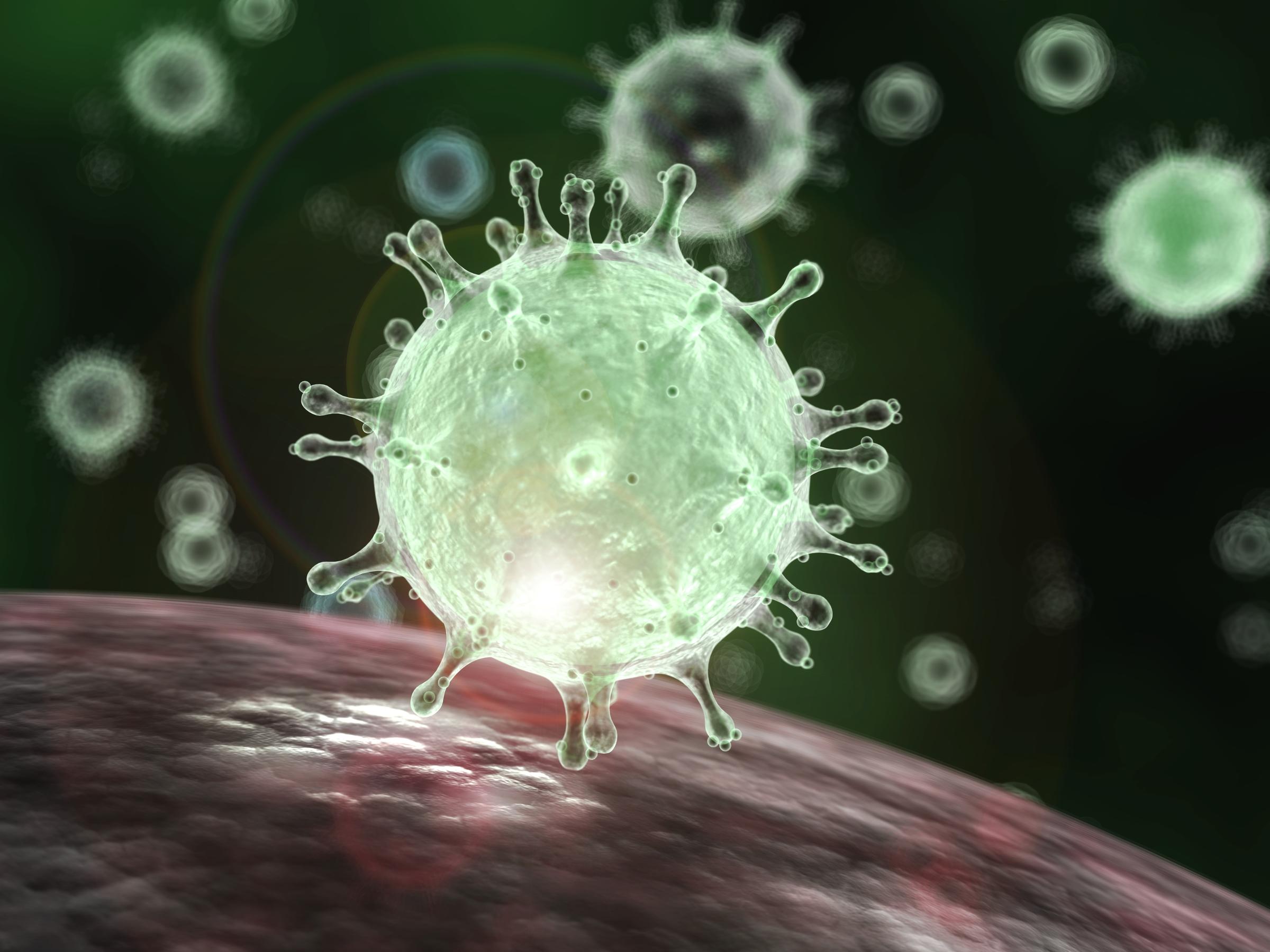 image of coronavirus